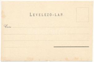 Segesvár, Schässburg, Sighisoara; Totalansicht, Comitatshaus, Ev. Gymnasium, Klosterkirche / látkép,...