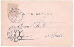 1899 (Vorläufer) Előpatak, Valcele; fürdő. Zeidner H. kiadása / spa (vágott / cut)