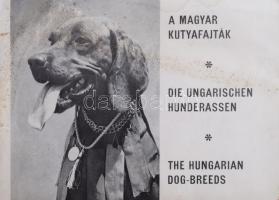 cca 1970 A magyar kutyafajták. A Magyar Ebtenyésztők Országos Egyesülete és a MAVAD (Magyar Vadkereskedelmi Szövetkezeti Vállalat) ismertető kiadványa az exportra szánt kutyafajtákról (vadász- és terelőkutyák). Fekete-fehér fotókkal illusztrálva, magyar, német és angol nyelven. Kiadói tűzött papírkötés, a borító ázott, foltos, belül nagyrészt jó állapotban, 32 p.