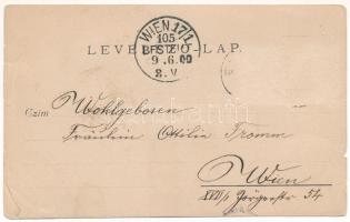 1900 Előpatak, Valcele; nyaralók, villák / villas. photo (b)