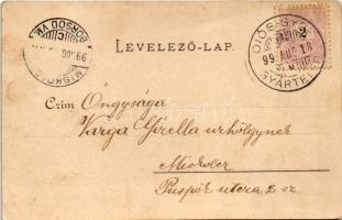 1899 (Vorläufer) Diósgyőr (Miskolc), M. kir. vas- és acélgyár. Lővy József fia kiadása + "DIÓS-...