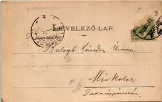 1903 Kassa, Kosice; Lajos forrás. Nyulászi Béla kiadása / mineral water spring (Rb)