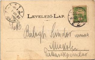 1902 Kassa, Kosice; Múzeum. Egy és két koronás áruház kiadása / museum (fl)