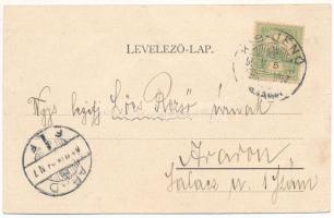 Kisjenő, Kis-Jenő, Chisineu-Cris; Fő tér, Takarékpénztár, Messzer Lipót üzlete / main square, saving...