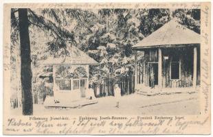 1904 Borszék, Borsec; Főherceg József kút / Erzherzog Josefs-Brunnen / spa, spring source, well (EK)