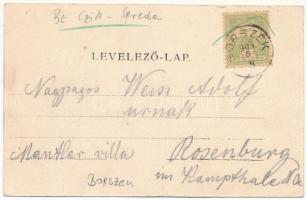 1904 Borszék, Borsec; Főherceg József kút / Erzherzog Josefs-Brunnen / spa, spring source, well (EK)