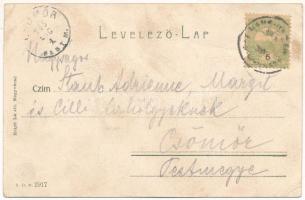 1905 Püspökfürdő, Szentlászlófürdő, Baile 1 Mai, Episcopiei (Nagyvárad, Oradea); tó részlet. Helyfi ...