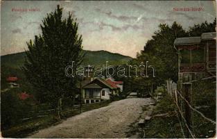 1913 Szováta-fürdő, Baile Sovata; Felső úti részlet. Schuster Emil kiadása / street, villas (EK)