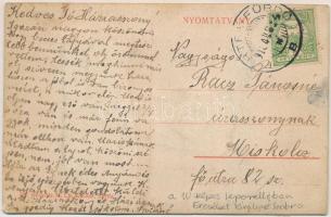 1910 Bártfa, Bártfafürdő, Bardejovské Kúpele, Bardiov, Bardejov; Főforrás és fedett sétány. Horovitz...