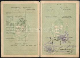 1925 Bp., Magyar Királyság által orvos számára kiállított útlevél fénykép nélkül / Hungarian passport without photo