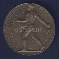 Németország 1920. "Carl Menger" Br emlékplakett T:1