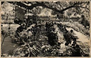 1934 Újmoldova, Neumoldowa, Bosneag, Moldova Noua; Sfatul negustoresc / üzleti ebéd, étterem kertje vendégekkel és pincérekkel / restaurant garden with guests and waiters. photo (fa)