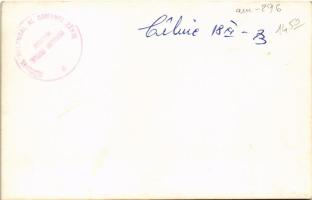 Závoly, Zavoi; Caminul Cultural al Comunei Zavoi, Judetul Caras Severin / Román gyerekek csoportja a...