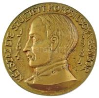 Tőrös Gábor (1934-2021) 1984. &quot;Kétszáz éve született Kőrösi Csoma Sándor 1784-1984&quot; egyoldalas, öntött bronz plakett (115mm) T:XF