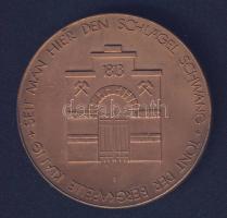 NSZK 1963. "Sváb Kohóművek" Br emlékplakett T:1