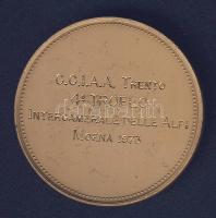 Olaszország 1973. "C.C.I.A.A. Trento" Br emlékérem T:2