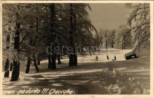 1940 Lupény, Lupeni; erdő télen, síelők, téli sport / forest in winter, ski, winter sport. photo (fl)