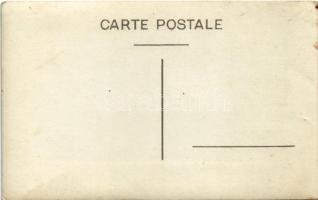 Nagyszeben, Hermannstadt, Sibiu; Gradina Zoologica / Tierpark / Állatkert, sólymok / zoo, falcons. p...