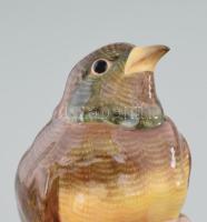 Herendi madár. Jelzett, kézzel festett, hibátlan, m: 13 cm