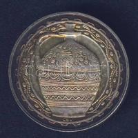 DN "Hódmezővásárhely - Tanácsháza" fém emlékérem T:1