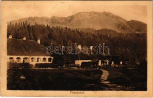 1914 Felsőtömös, Felső-Tömös, Timisu de Sus (Brassó, Kronstadt, Brasov); Tömöstal / Tömös-völgy. H. Zeidner kiadása / valley (ragasztónyom / glue mark)