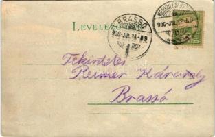 1906 Herkulesfürdő, Baile Herculane; Kérem világítás felé tartani / Meteor No. 489. hold to light li...