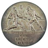 Ausztria / Bécs 1978. &quot;Bécsi Kereskedelmi Kamara / Hűséges Munkáért - Rudolf Drevo úrnak Bécs 1978&quot; ezüstözött Br emlékérem, peremen &quot;Bronze&quot; beütéssel. Szign.: Grienauer (70mm) T:AU Austria / Vienna 1978. &quot;Kammer der Gewerblichen Wirtschaft für Wien (Chamber of Commerce for Vienna) / Für treue Mitarbeit herrn Rudolf Drevo Wien 1978 (For Faithful Work to Mr. Ludwig Kopic Vienna 1965)&quot; silvered Br medal with &quot;Bronze&quot; hallmark on the edge. Sign.: Grienauer (70mm) C:AU