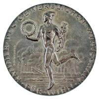 Ausztria / Bécs 1978. "Bécsi Kereskedelmi Kamara / Hűséges Munkáért - Rudolf Drevo úrnak Bécs 1...