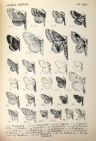 Móczár László: Állathatározó. II. köt. Szerk.: - -. Szocialista Nevelés Könyvtára 8. szám. Bp., 1950...