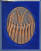 Pálffy Gusztáv (1942-2021) 1982. &quot;Kodály Centenárium Bács-Kiskun Megye Kecskemét 1982&quot; bronz emlékplakett, eredeti dísztokban (141x105mm) T:AU,XF