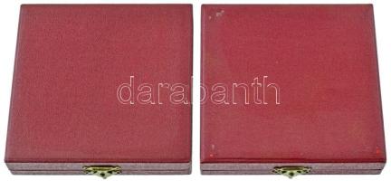 Képíró Zoltán (1944-1981) 1973. "Kaposvári Emlékérem 1873-1973" egyoldalas ezüstpatinázott...