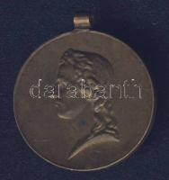 Ausztria 1905. "Schiller Feier" Br emlékmedál T:2 f