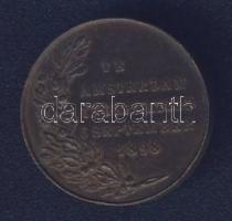 Hollandia 1898. "Wilhelmina királynő" Br emlékérem T:1