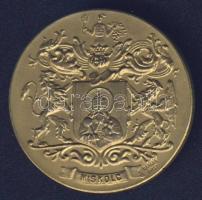 DN "A berlini olympiász hőseinek" Br érdemérem T:1