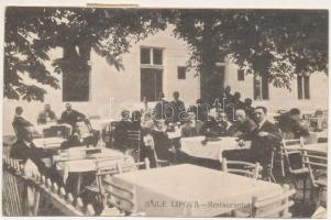 Lippafüred, Lippafürdő, Baile Lipova (Temes, Timis); Restaurantul / étterem terasza / restaurant terrace (ázott / wet damage)