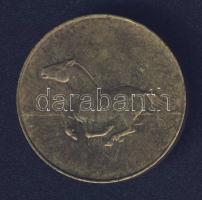 Mongólia DN "ICCO" Br emlékérem T:1