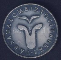 DN "Társadalombiztosításért" fém emlékérem T:1