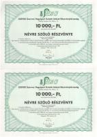 Szombathely 1938. "Szombathelyi Takarékpénztár Részvénytársaság" részvénye 50P-ről, szelvé...