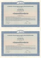 Szombathely 1938. "Szombathelyi Takarékpénztár Részvénytársaság" részvénye 50P-ről, szelvé...