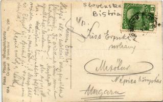 Slovenska Bistrica, Windisch-Feistritz; Rosa Pitschl Original Bromsilber No. 291. 1914