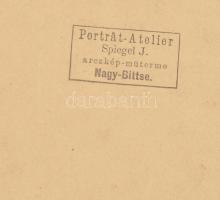 cca 1910 Nagybiccse, Vág folyó, épülő híd, kartonra kasírozott fotó, hátoldalon Spiegel J. fotós pec...