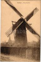 Beerse, Beersse; Molen Hendrickx / windmill