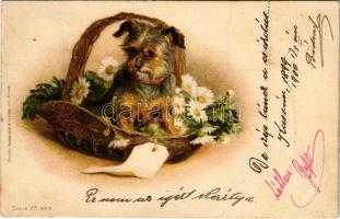 1900 Dog. Verlag von Wezel &amp; Naumann Serie 27. No. 5. litho (fl)