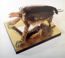 Marc Renwart (szerk.): Wladyslaw Hasior, Camiel van Breedam. Brüsszel, 1989, Atelier 340. 285p. Holl...