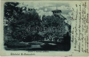 1902 Bánffyhunyad, Huedin; Részlet a Barcsay parkból este. Csoma Sándor kiadása / park at night + &quot;BRASSÓ-BUDAPEST 15. SZ.&quot; vasúti mozgóposta