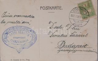 1909 Szászkabánya (Erdély), Carol Banutin kereskedő román ny. autográf sorai Dimitrie Lazarelnek (Lá...