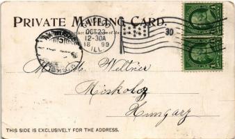 1899 (Vorläufer) Chicago, The Rookery, Jackson Park, Flower beds & walks. Art Nouveau (EB)
