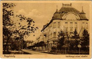 Nagykároly, Carei; Széchenyi utca, automobil / street view, automobiles (EK)