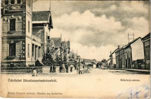 1907 Dicsőszentmárton, Tarnaveni, Diciosanmartin; Rákóczi utca. Dosztál Kálmán kiadása / street (fl)