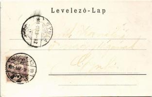 1901 Félixfürdő, Baile Felix; Sonnenwirth M. és Társa kiadása (EK)